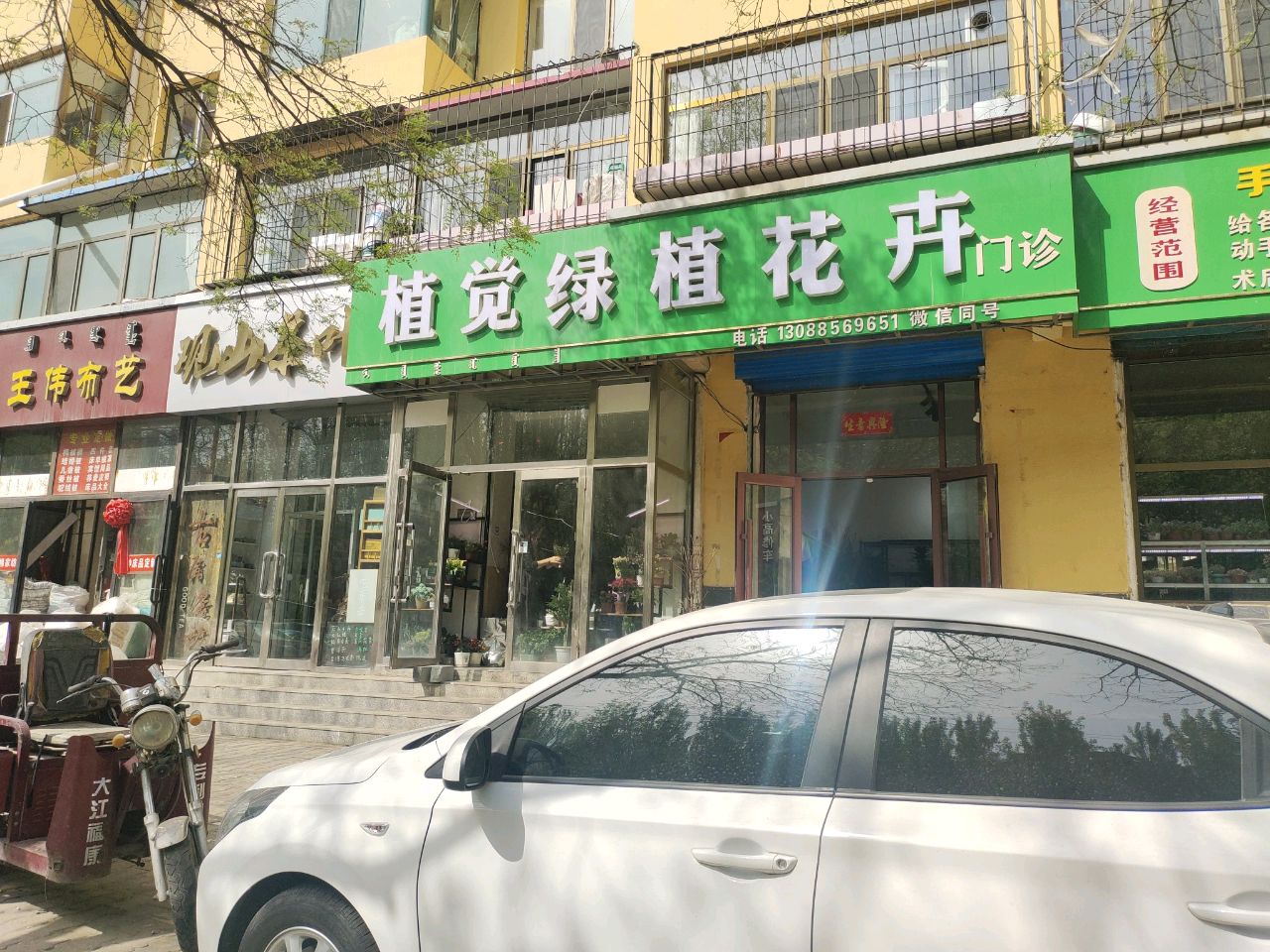 植觉绿植花鸟