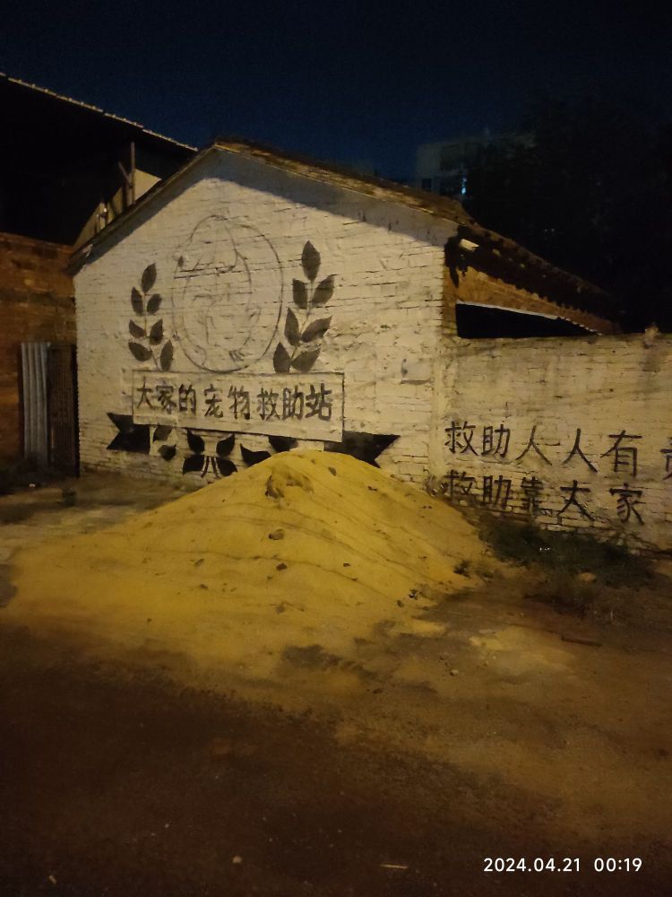大家的宠物救助站