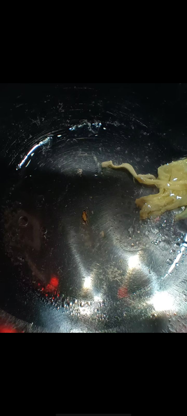 小厨娘淮扬菜(大别山玉博园店)