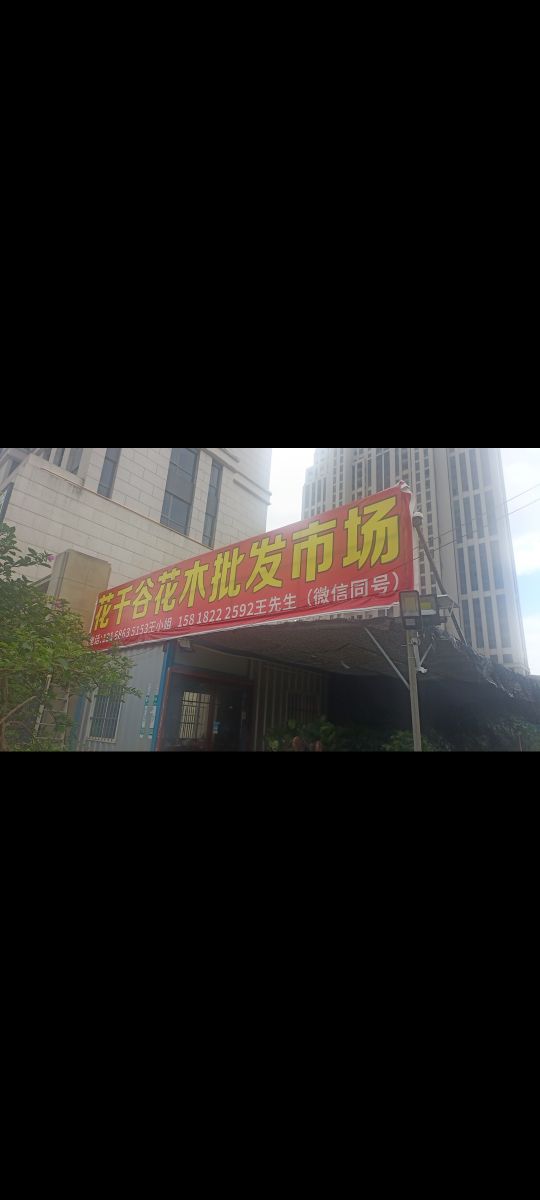 花千谷花木批发市场
