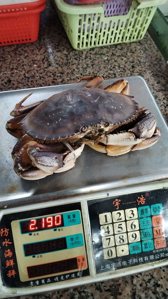 台山强海鲜