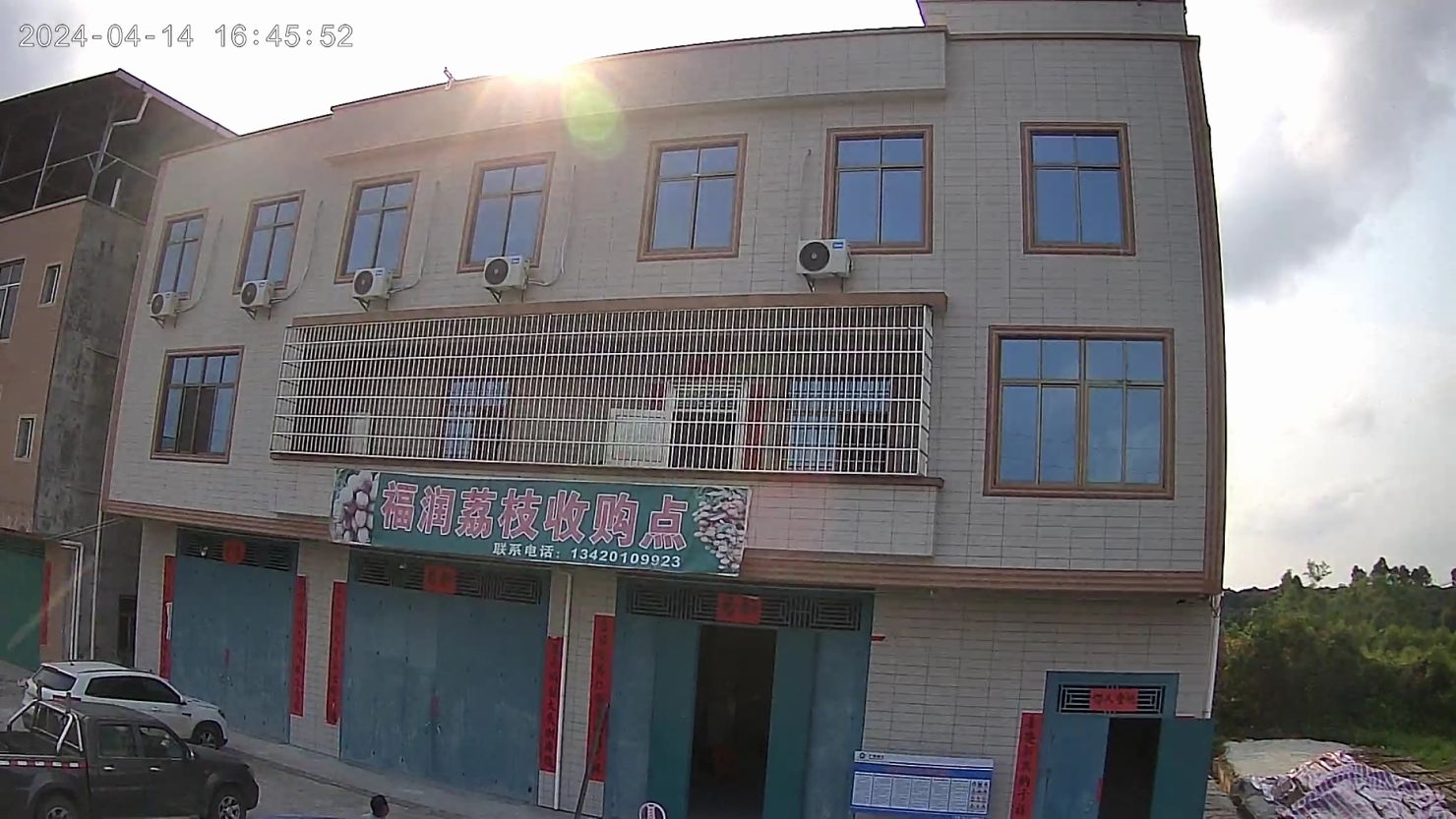 福润荔枝收购点