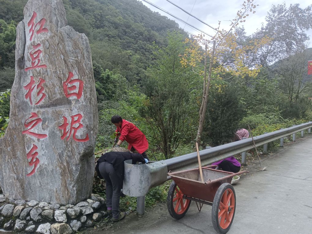 白坭乡