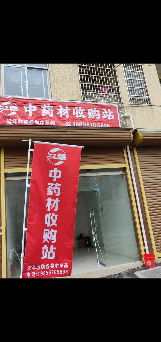 江集中药材收购站