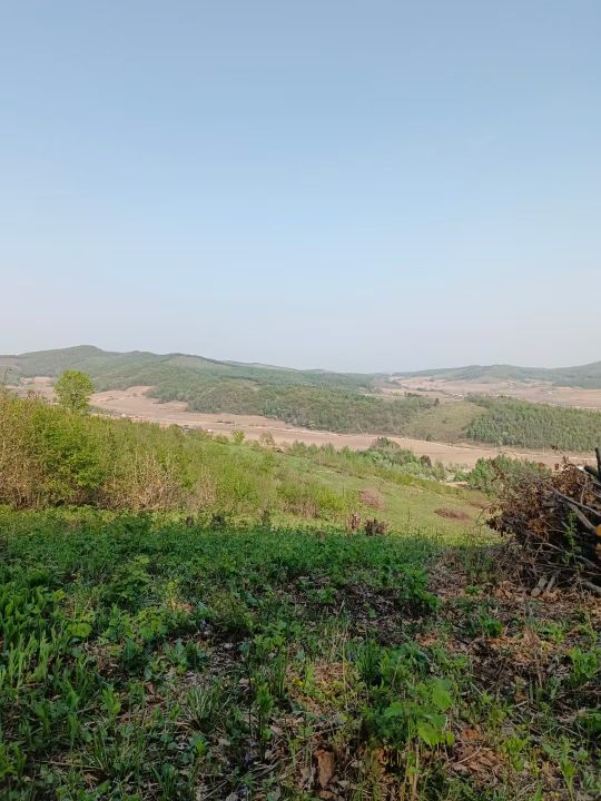 黄羊村
