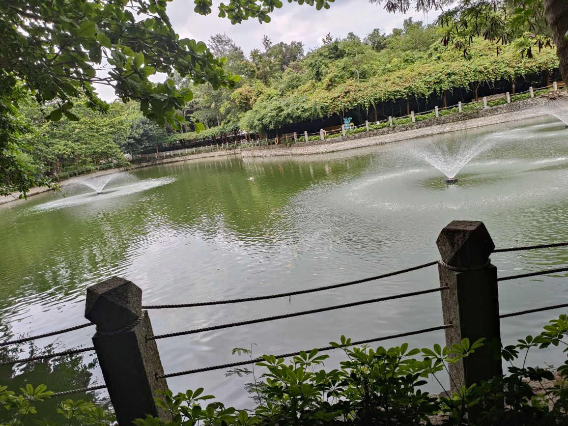 荷塘水榭
