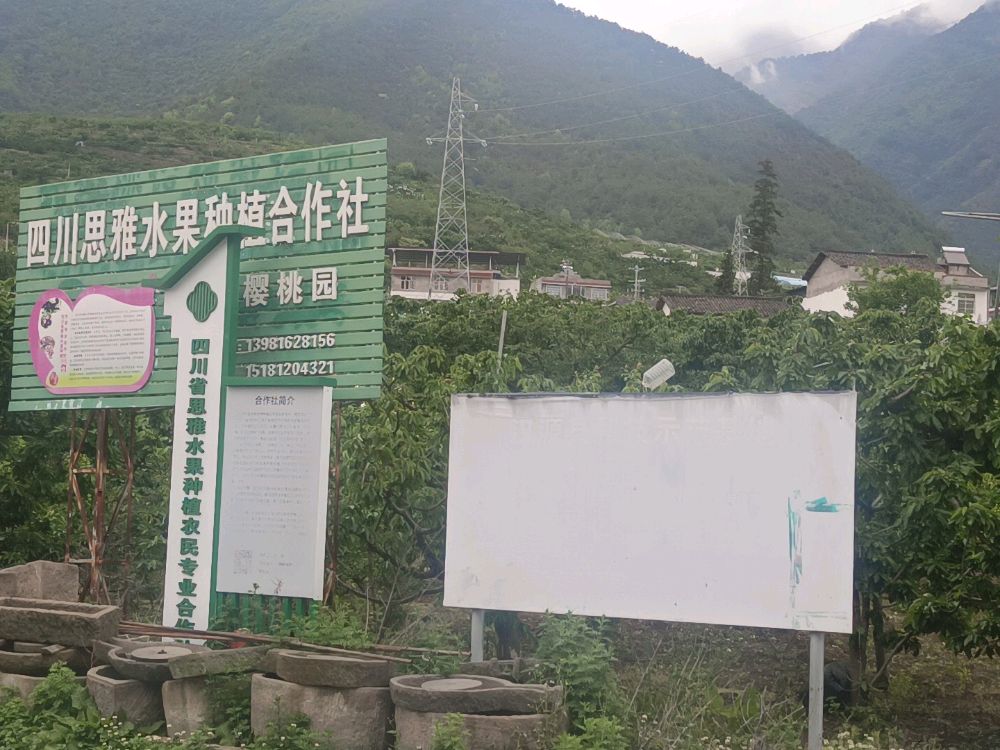四川省思雅水果种植农民专业合作社