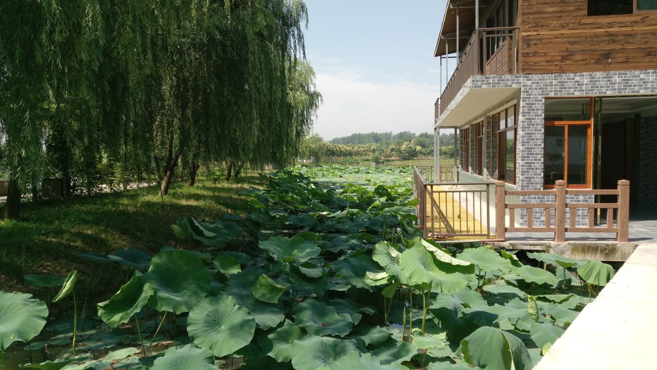 银水湾餐饮休闲垂钓中心