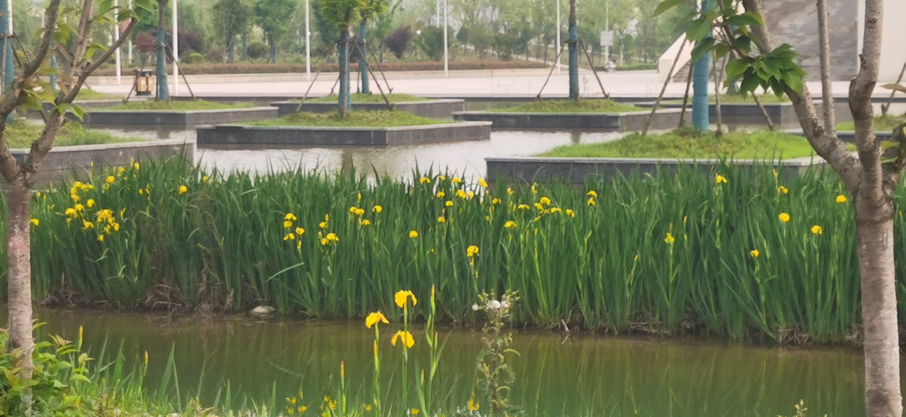 阜阳职责技术学院(七渔河校区)-东门