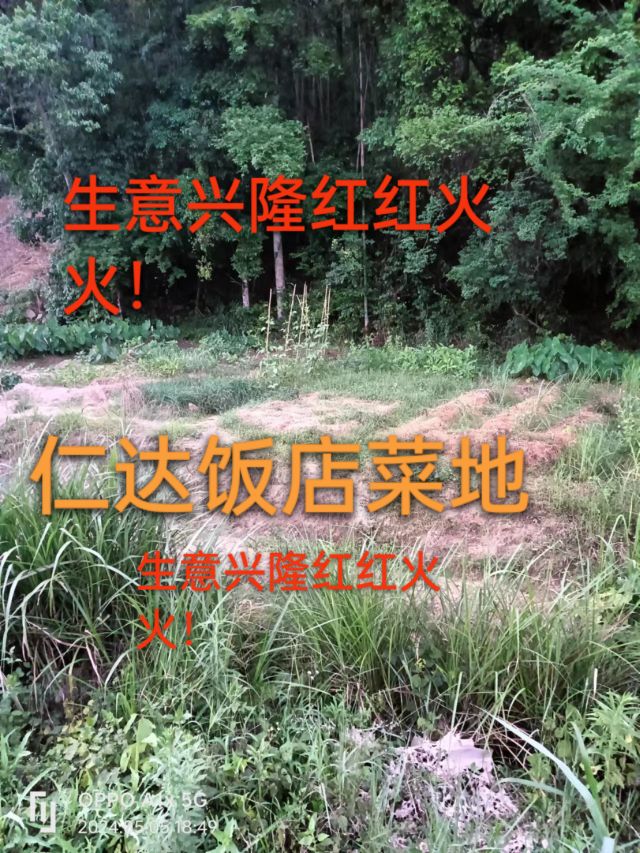 龙岩市永定区仁达饭店