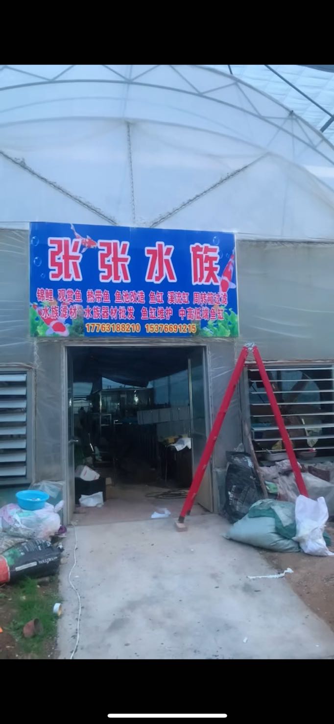 张张水族