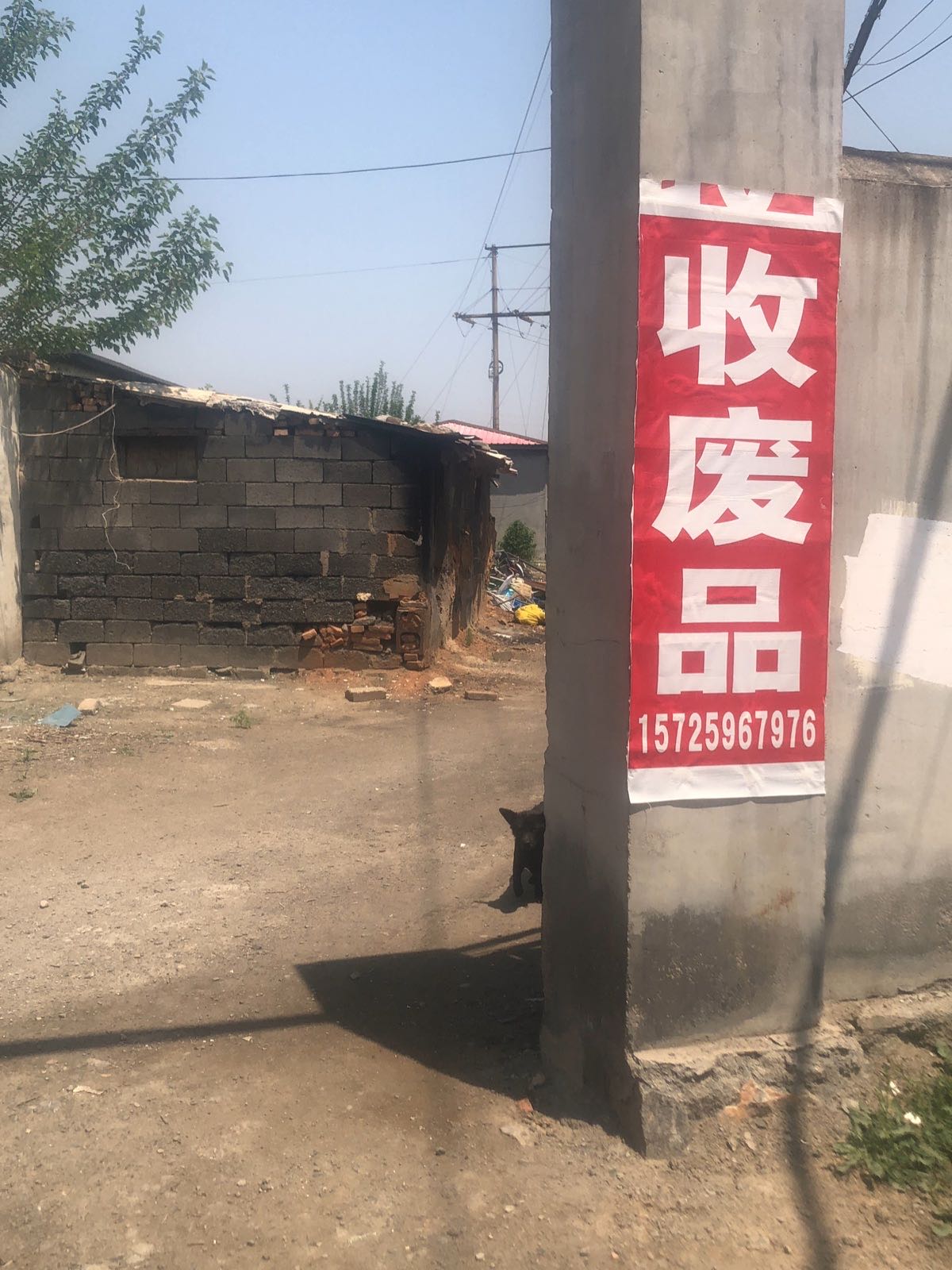 收废品
