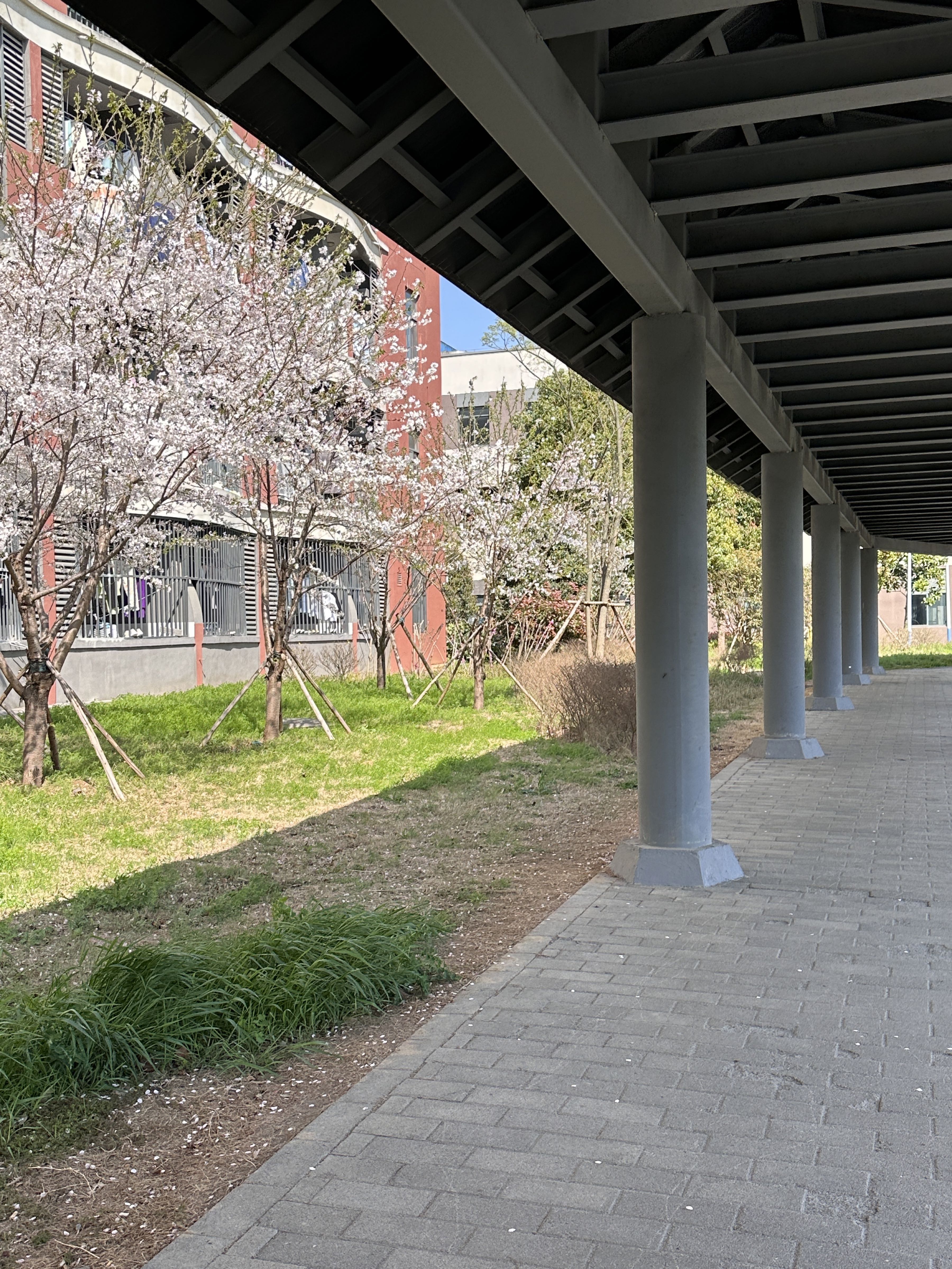 马鞍山师范高等专科学校(滨江校区)