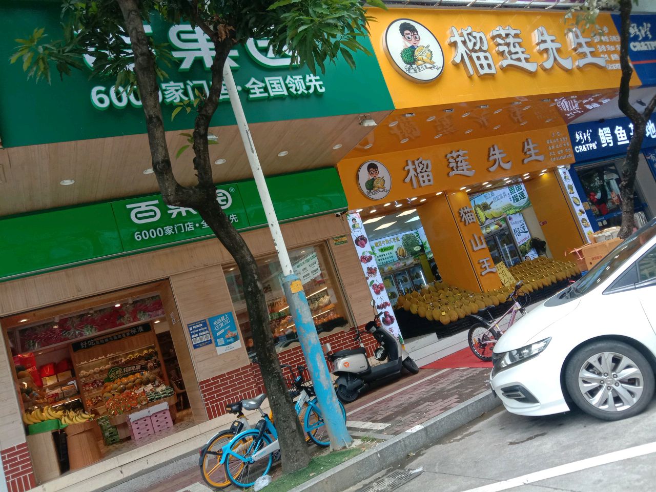 鳄鱼直供(育德街店)