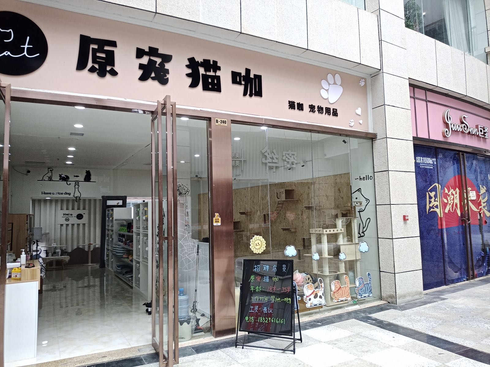原宠猫咖·猫狗活体售卖