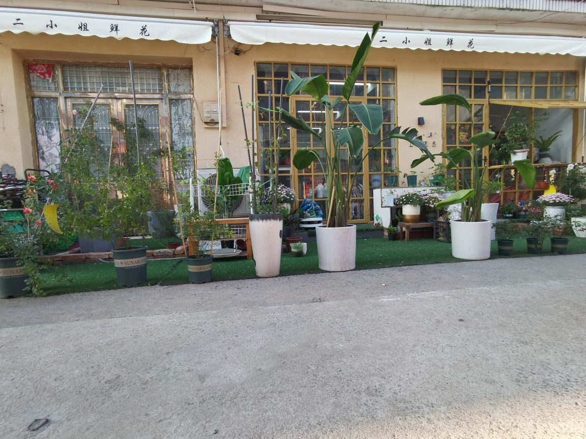二小姐鲜花店