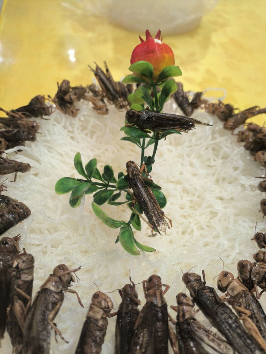 王家坝菜馆摇滚炒鸡(朝阳大道店)