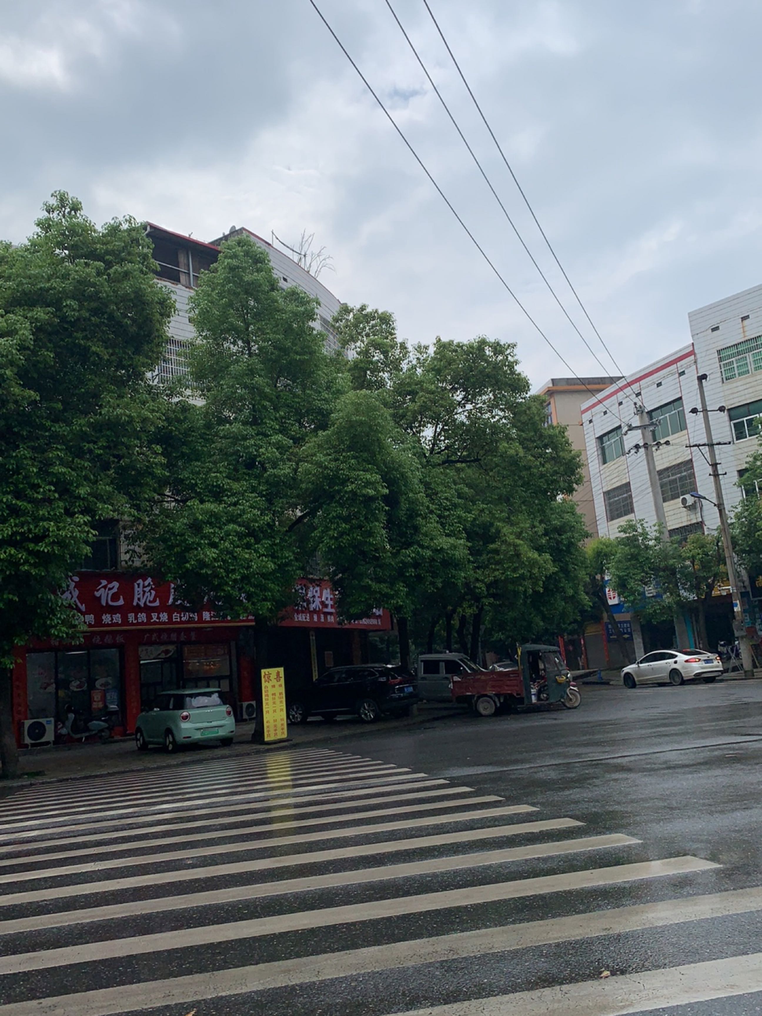 成记脆皮烧鹅