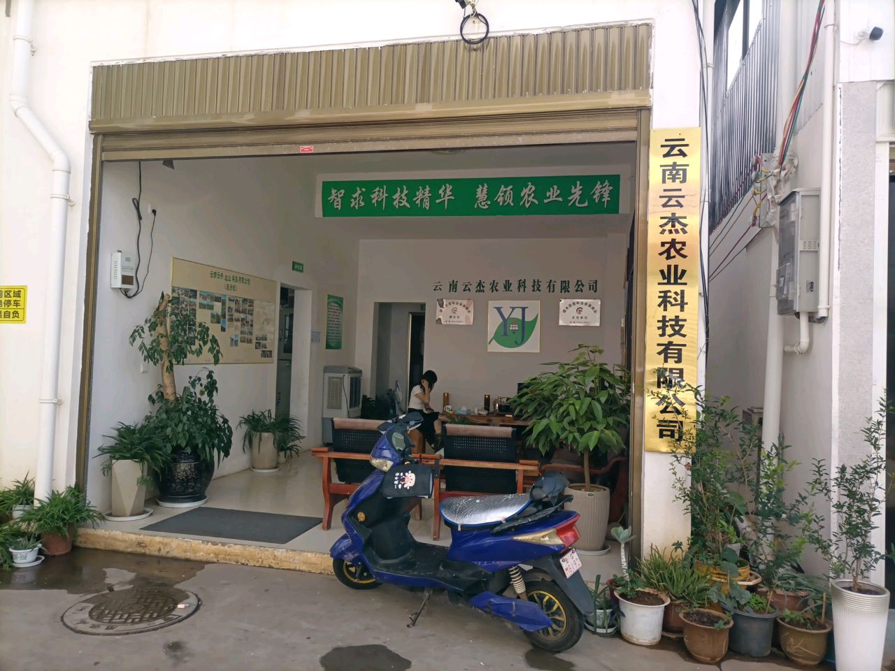 云南云杰农业科技有限公司