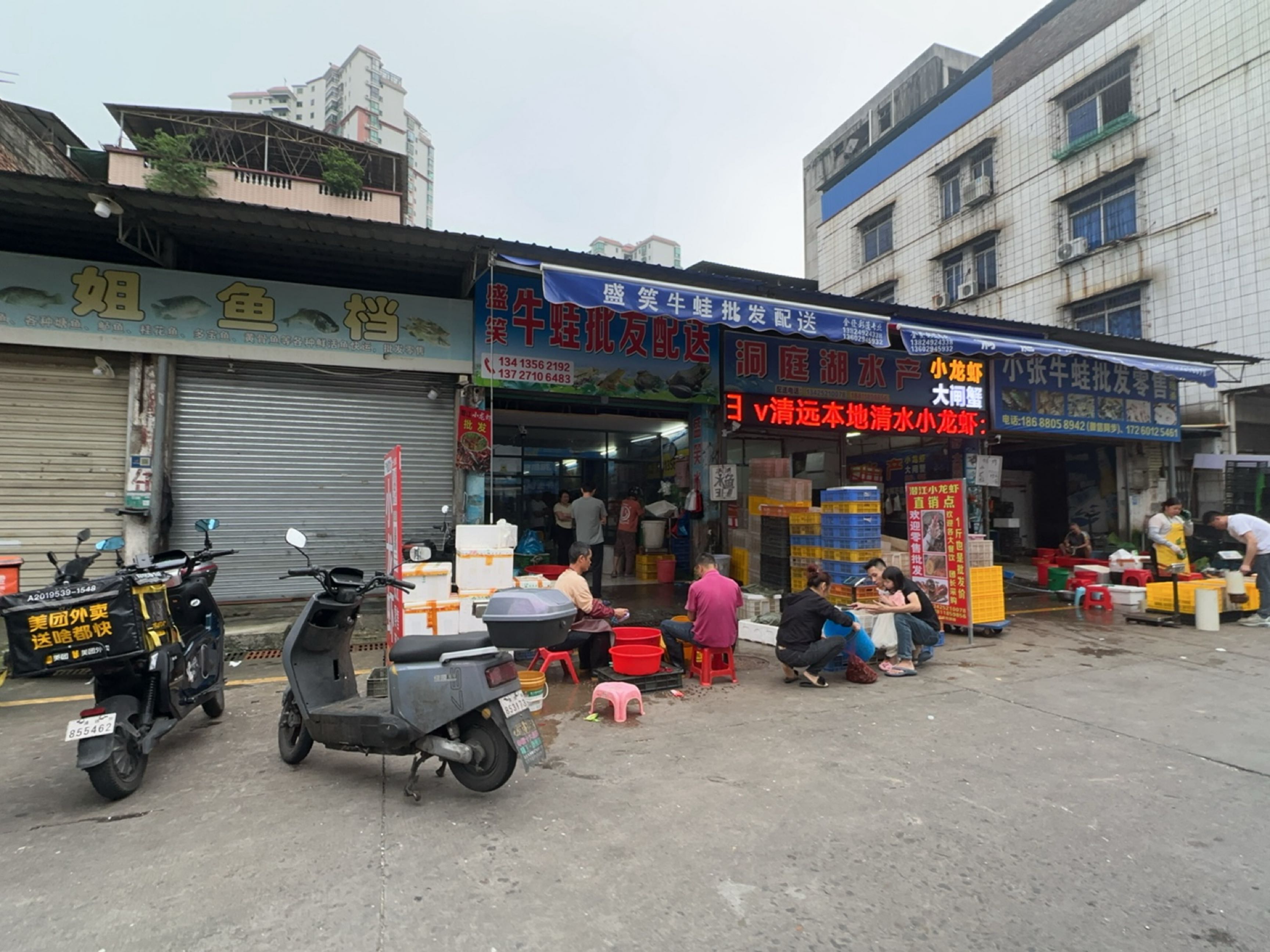 洞庭湖水产