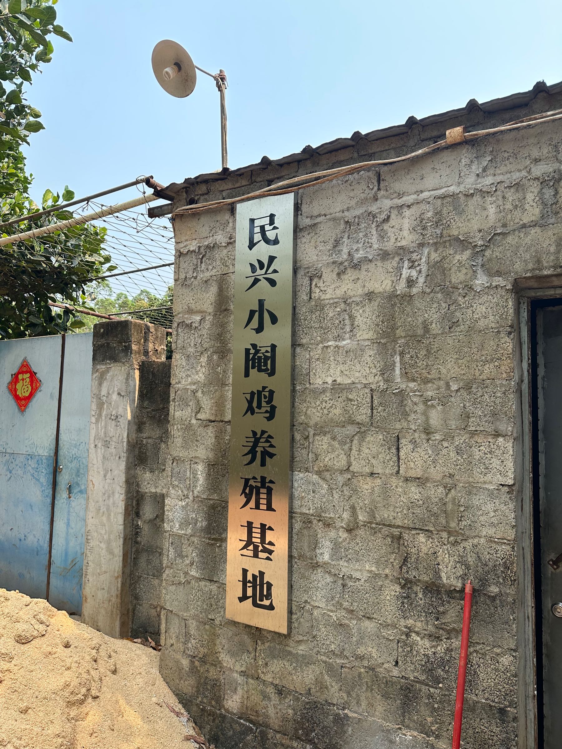 民兴小阉鸡养殖基地