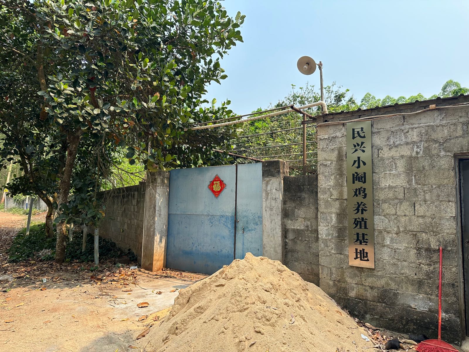 民兴小阉鸡养殖基地