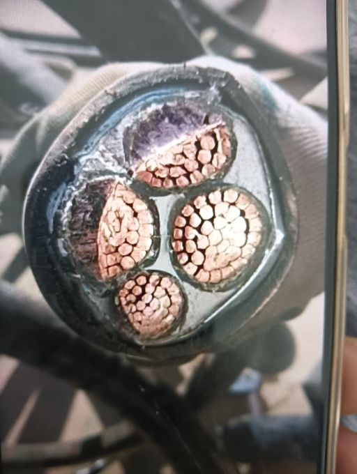 南山路46号废品回收站