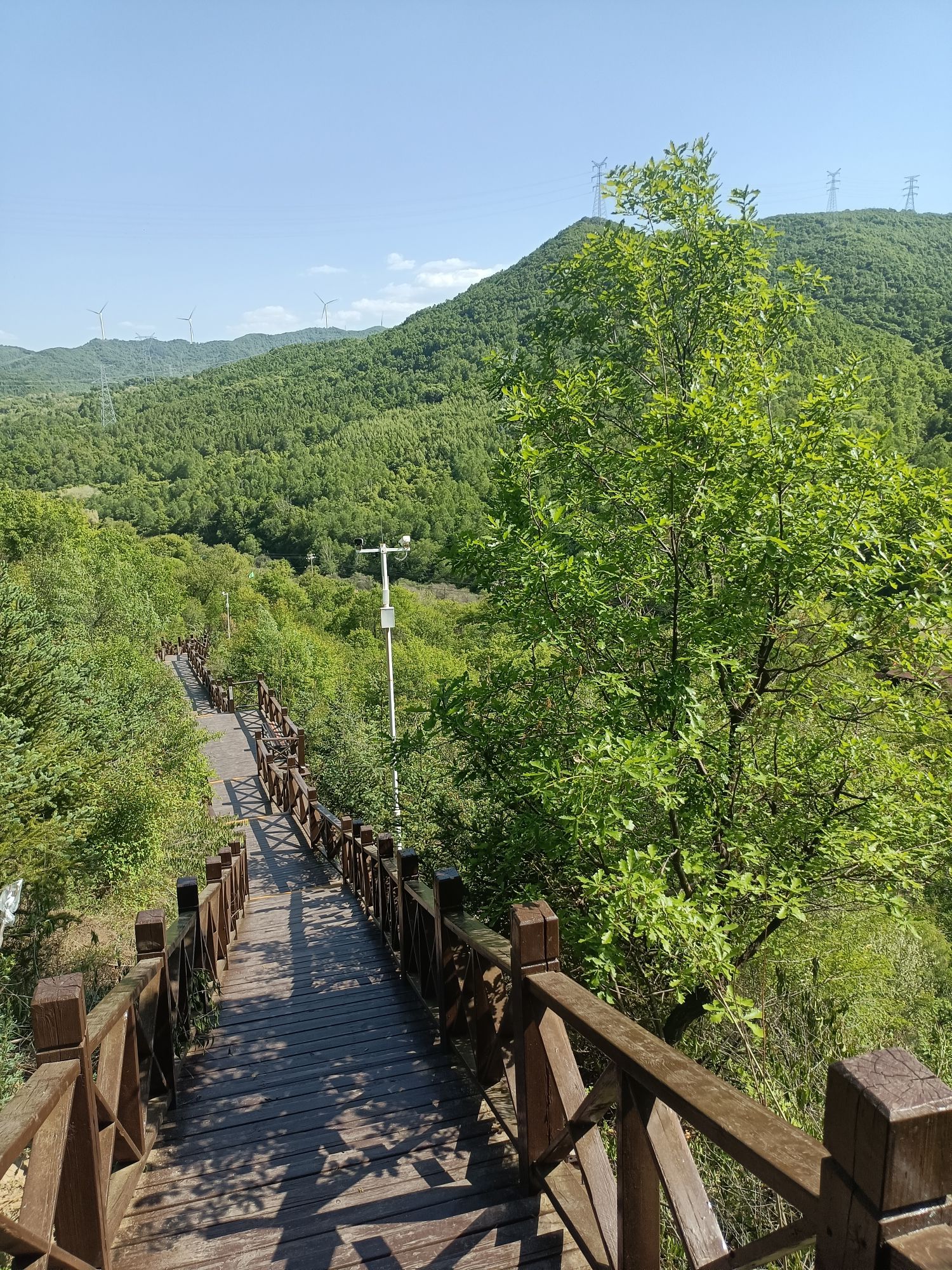 闹泥山庄