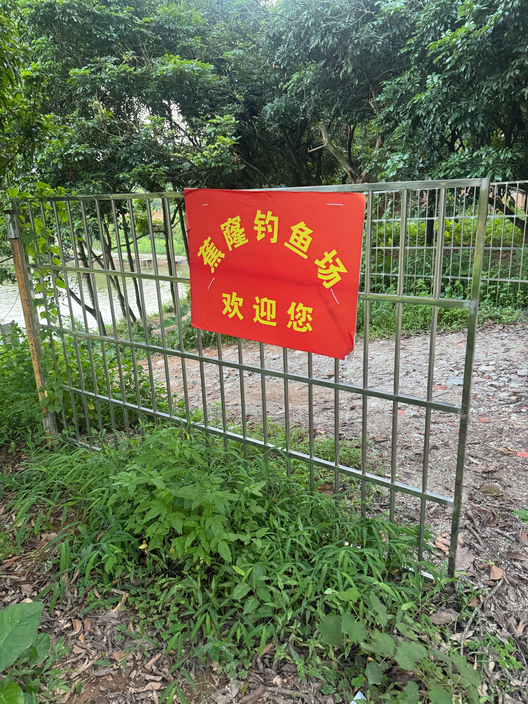 蕉窿钓钓场
