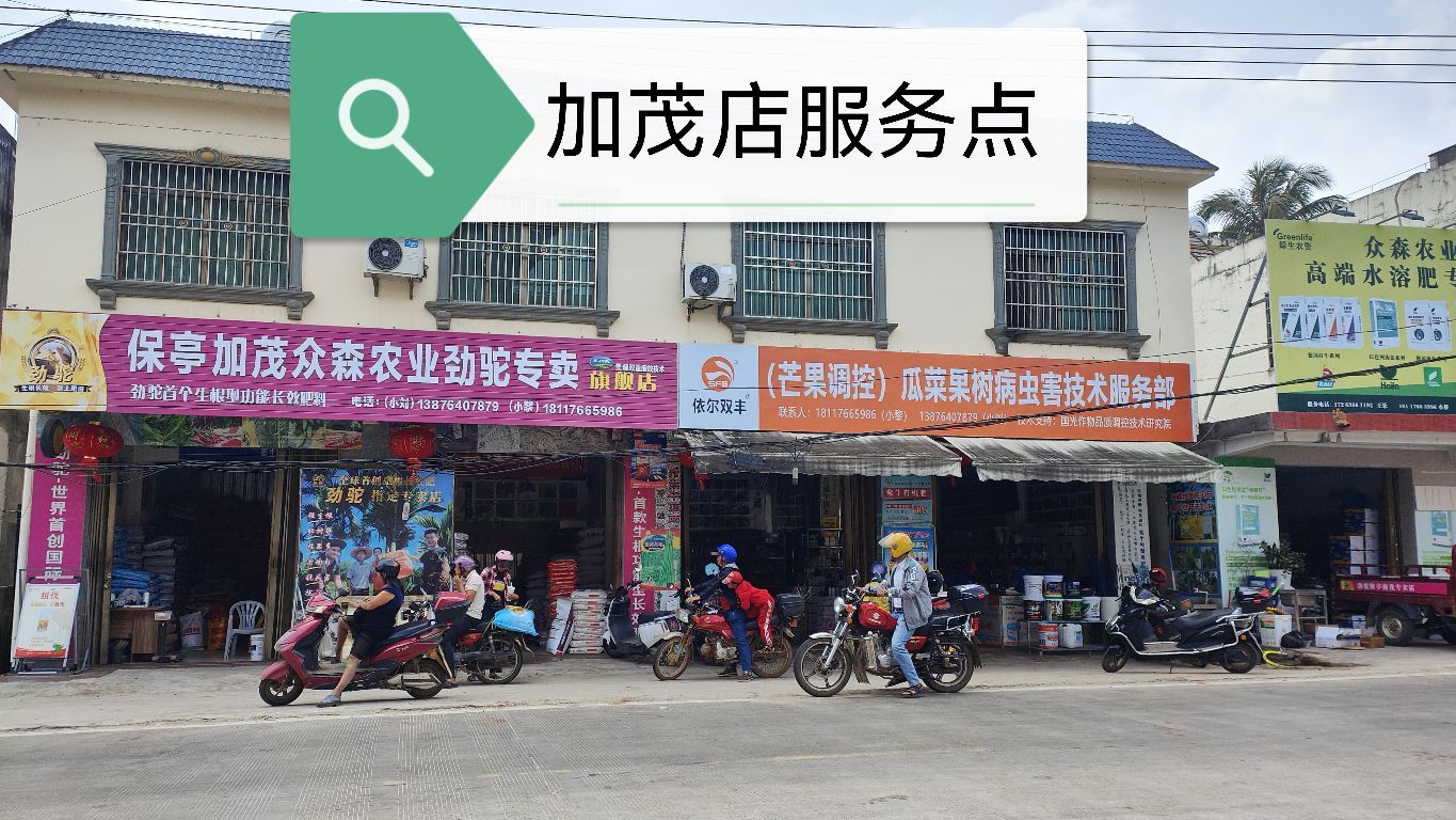 保亭加茂加茂众森农业