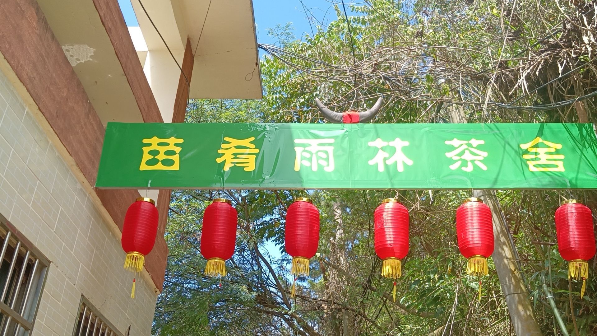 苗肴雨林茶舍