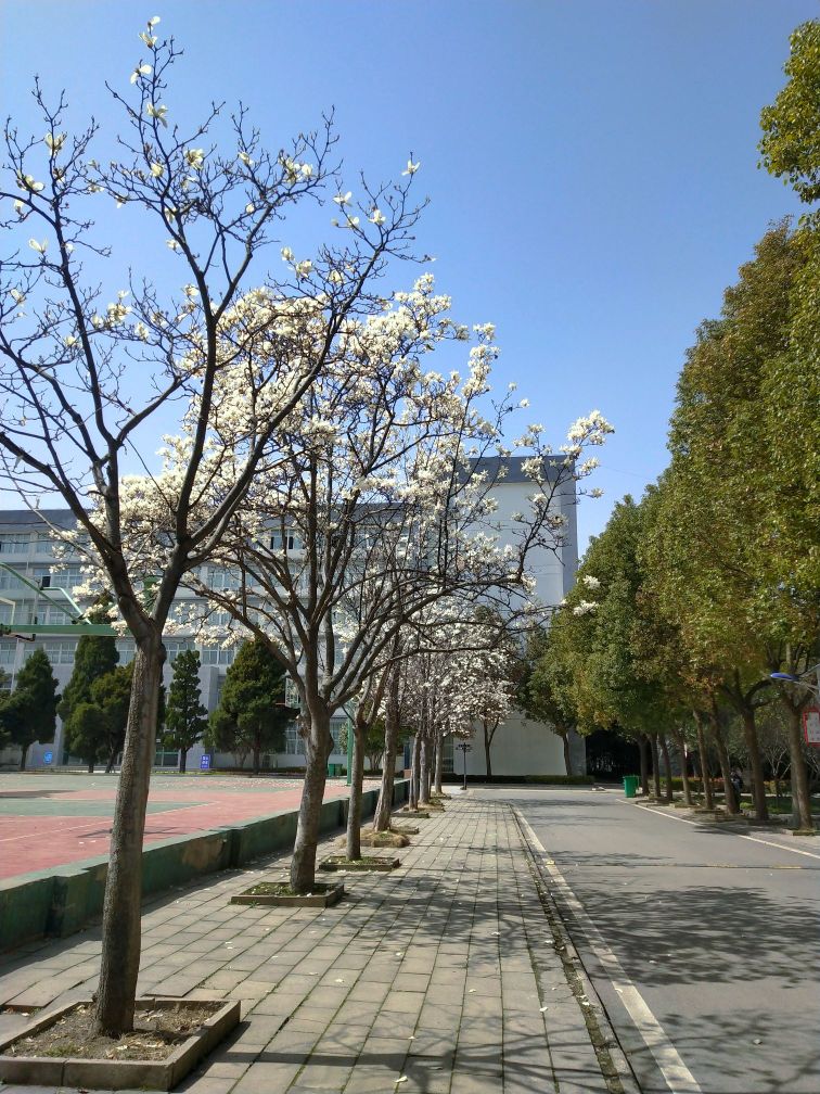 淮南职业技术学院分院-教学楼