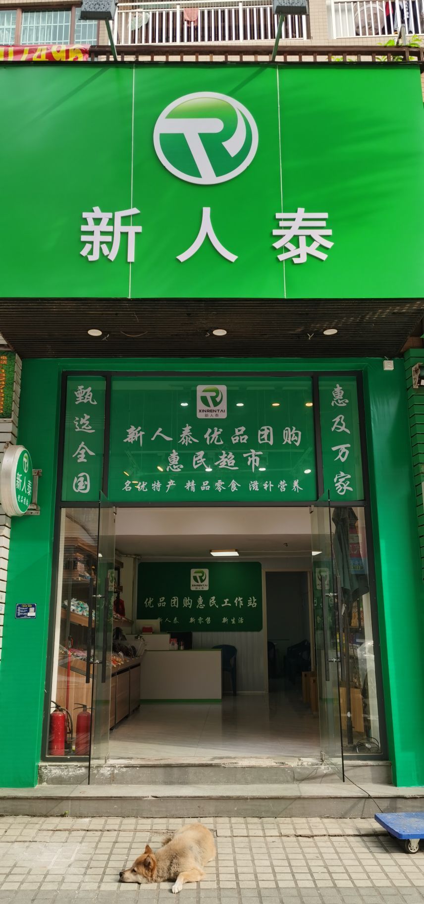 新人泰