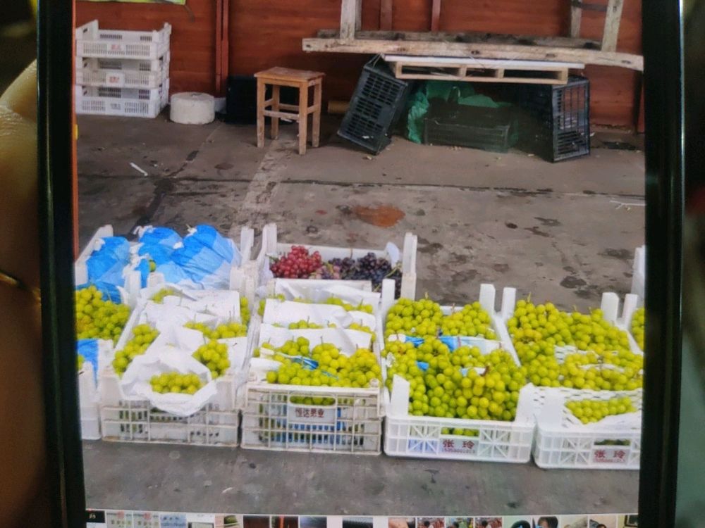 千城果业二店水果摊