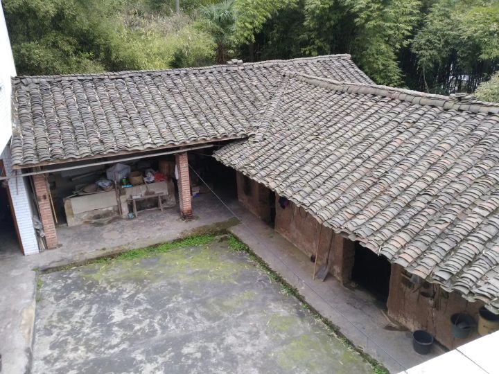 仁寿县汪洋镇高山村6组69号