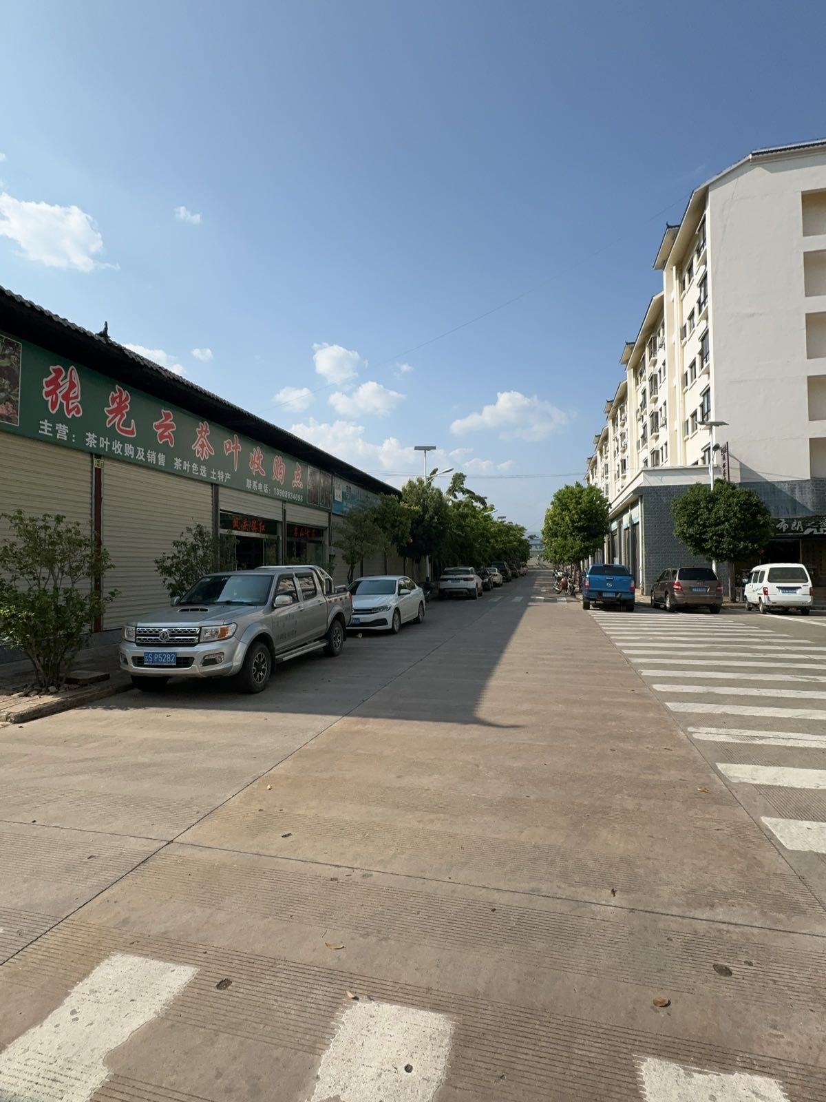 张光云茶叶收购点
