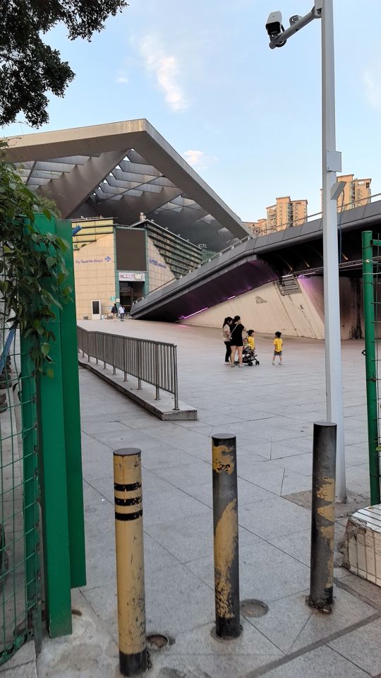 鱼教练游泳培训