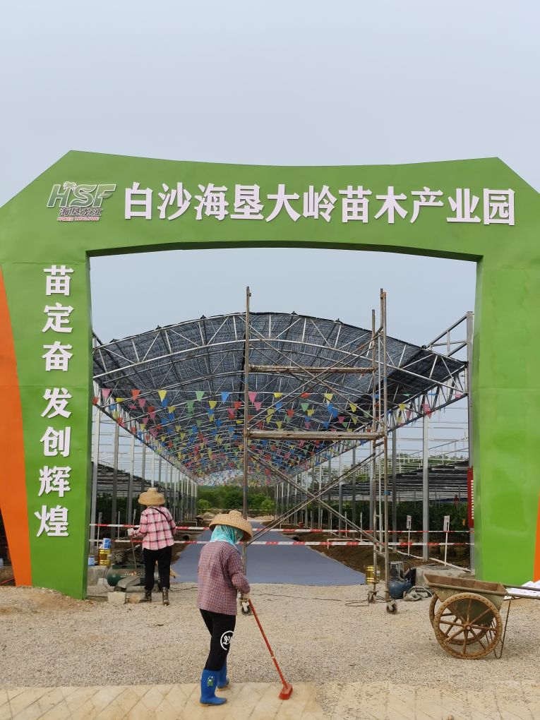 白沙海垦大岭苗木产业园