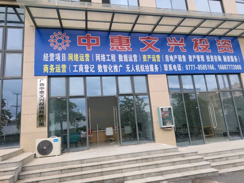 广西中惠文兴投资有限公司