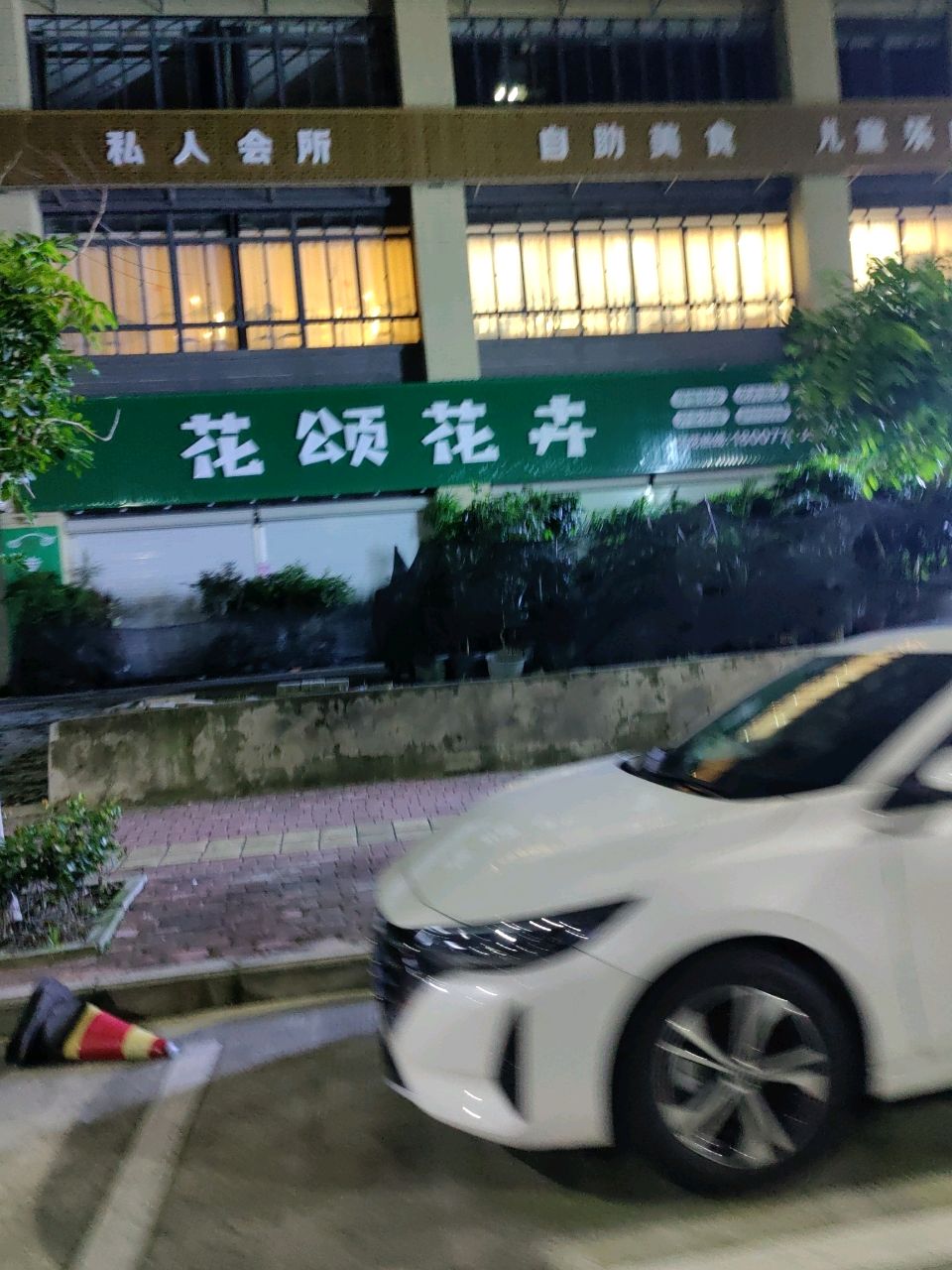花颂花卉