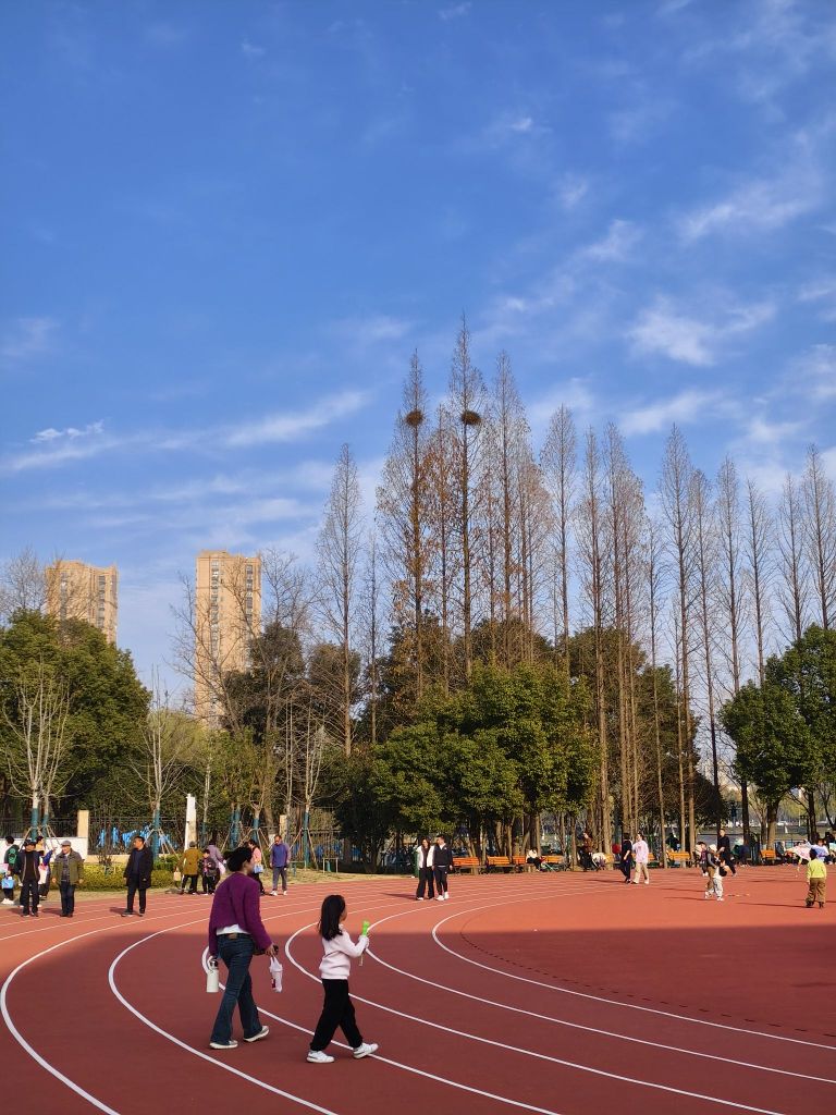 县体育馆