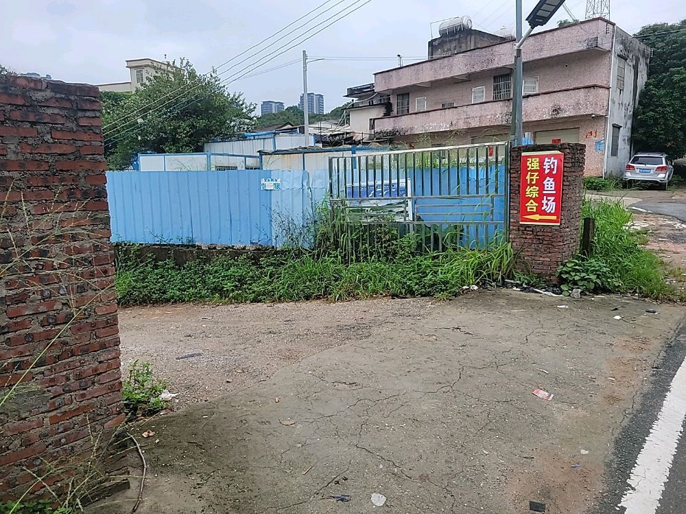 强仔综合钓鱼场