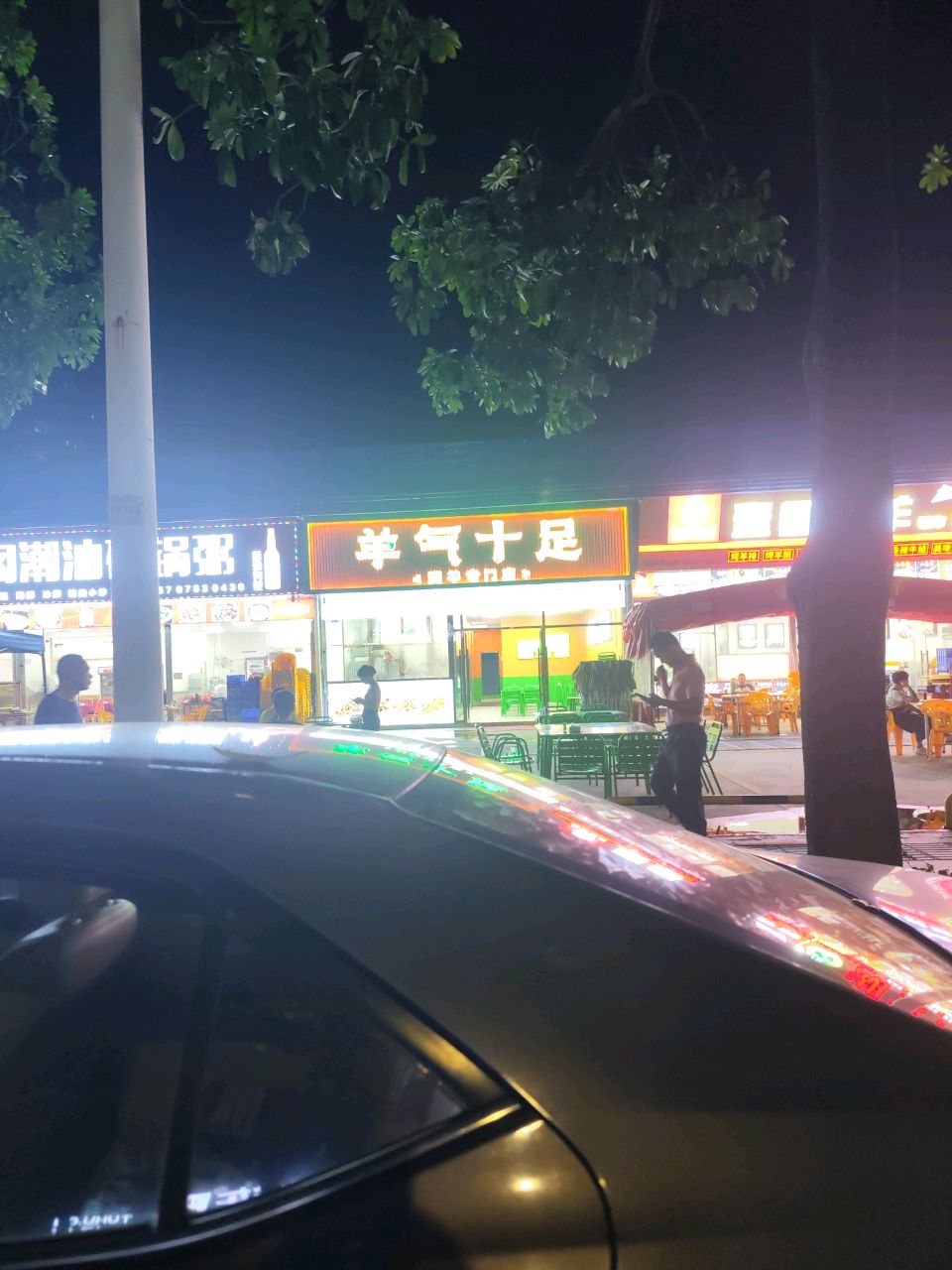 羊晋气十骅足