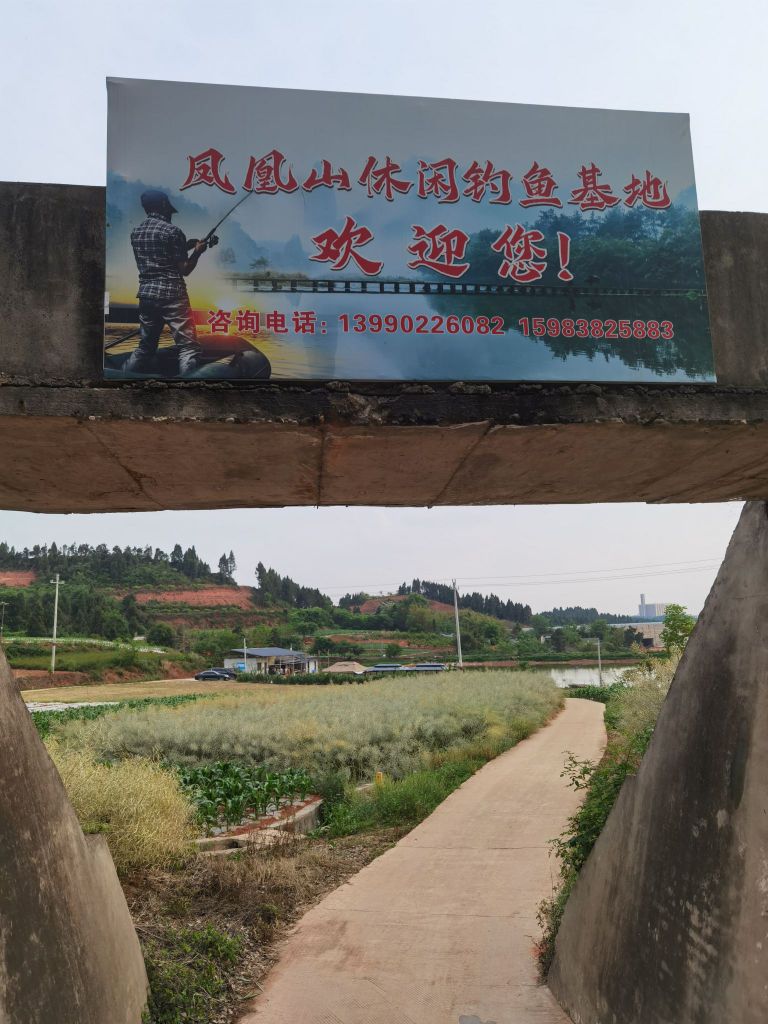 凤凰山休闲娱乐钓鱼基地