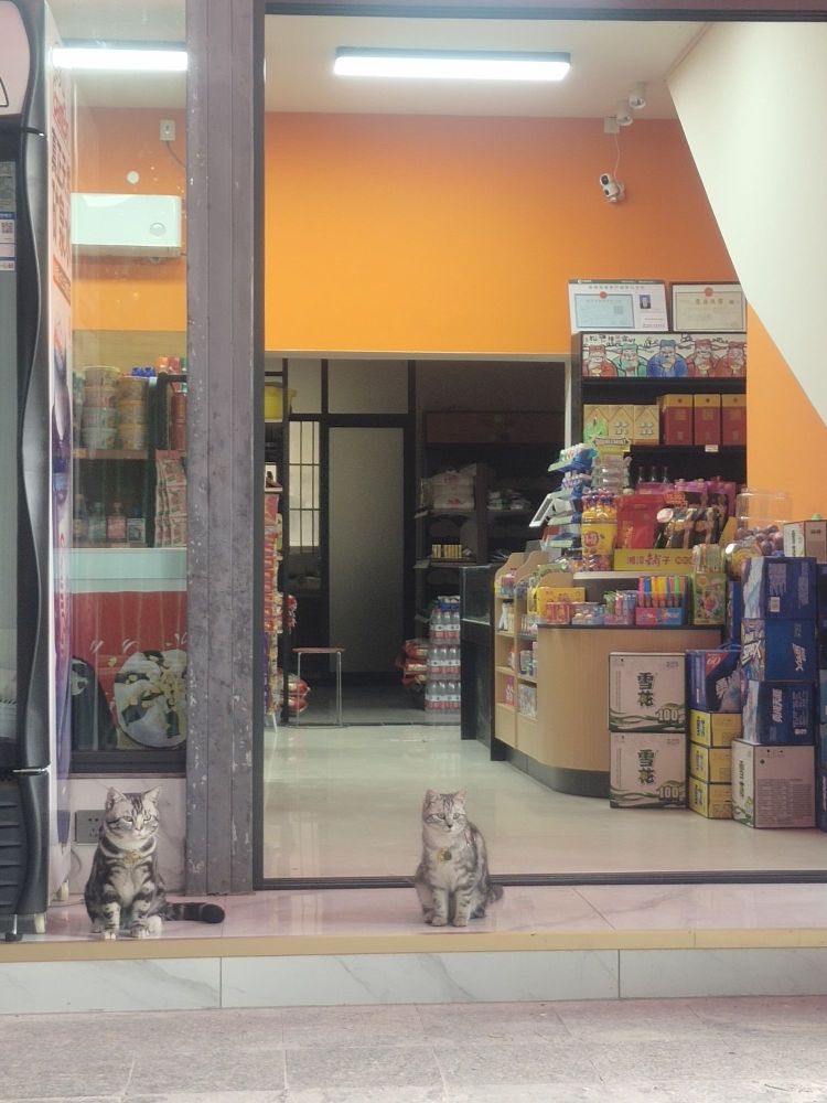 遇见喵便利店(梓城国际店)