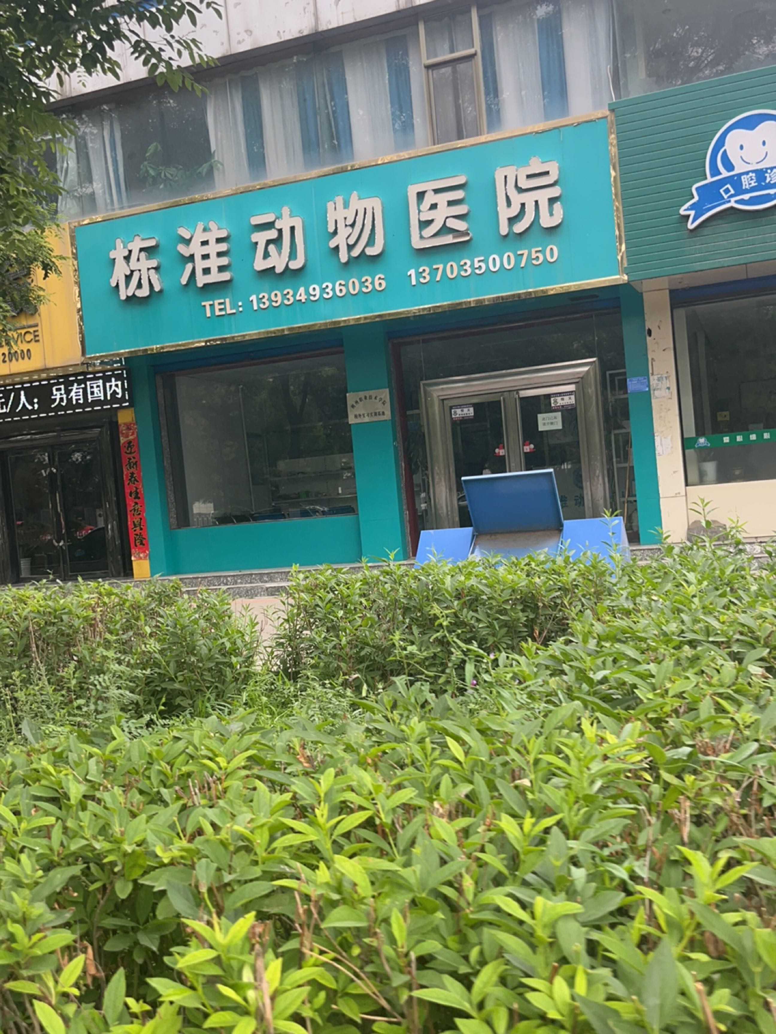 栋淮动物医院