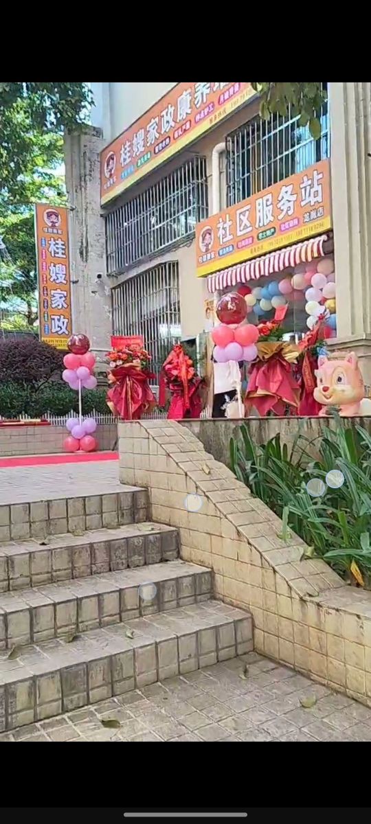 桂嫂家政(龙胤社区服务站)