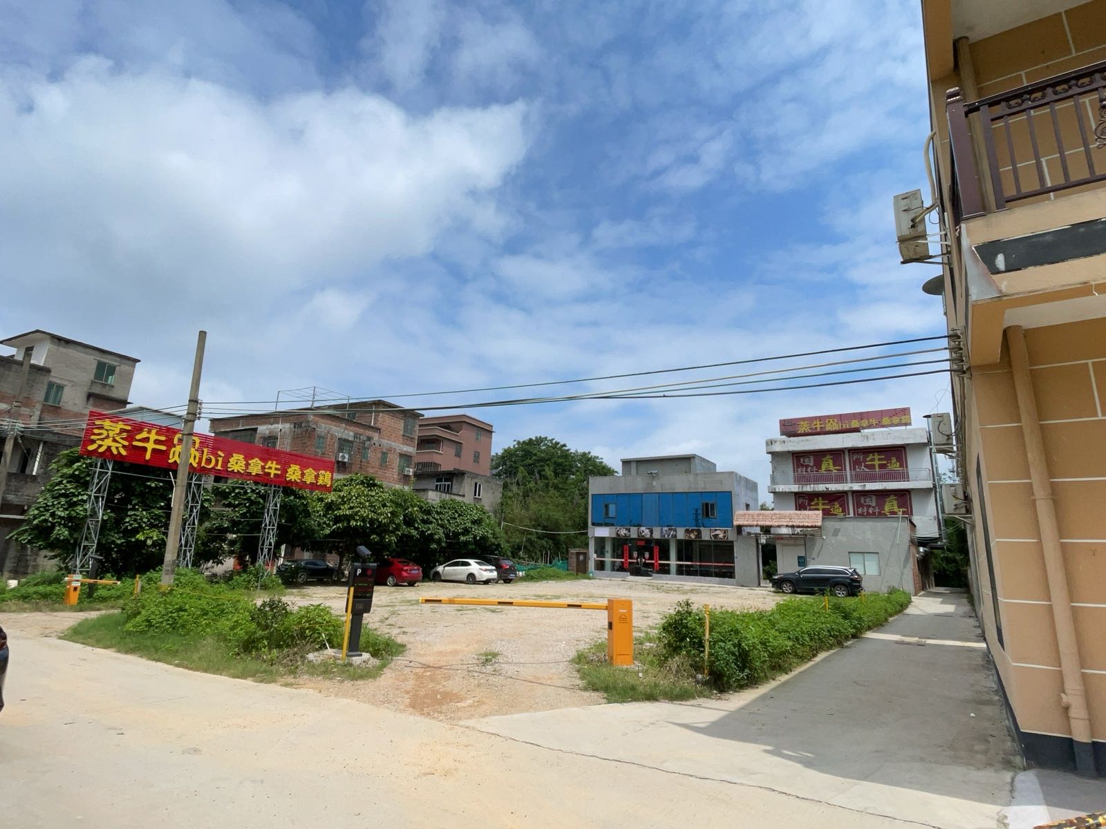 蒸牛赑桑拿鸡桑拿牛