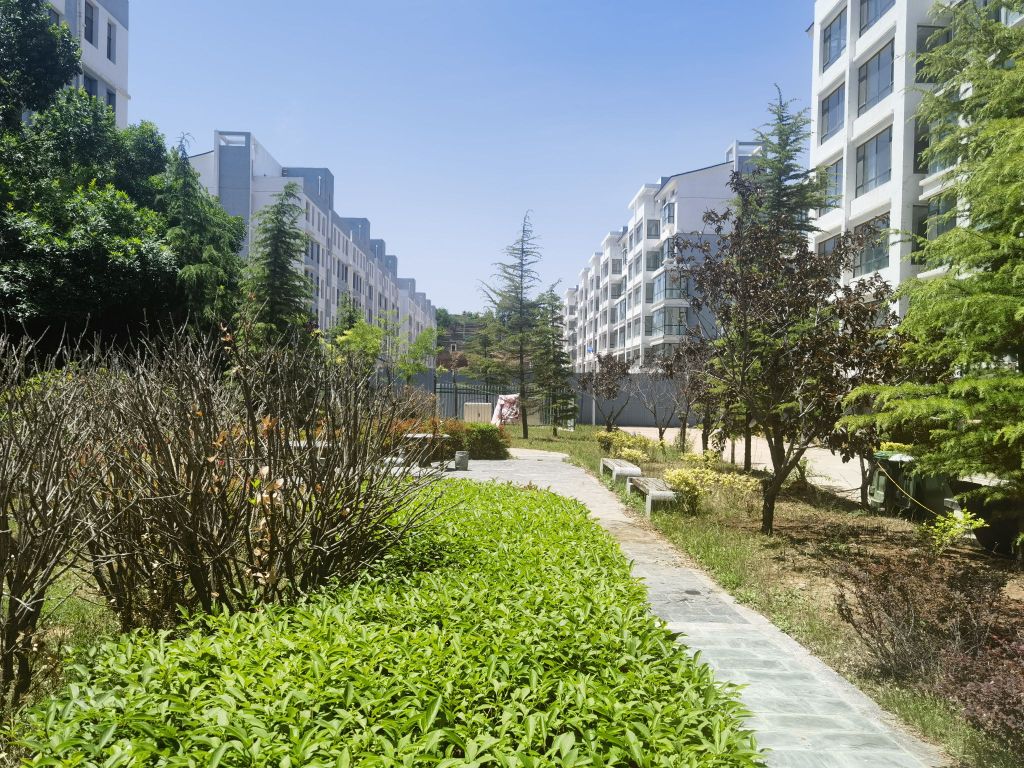 阳泉大洼村小区