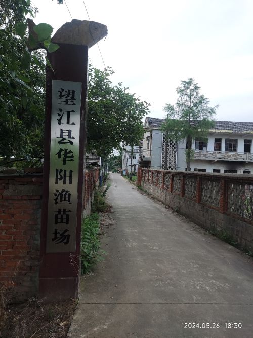 望江县华阳渔苗场